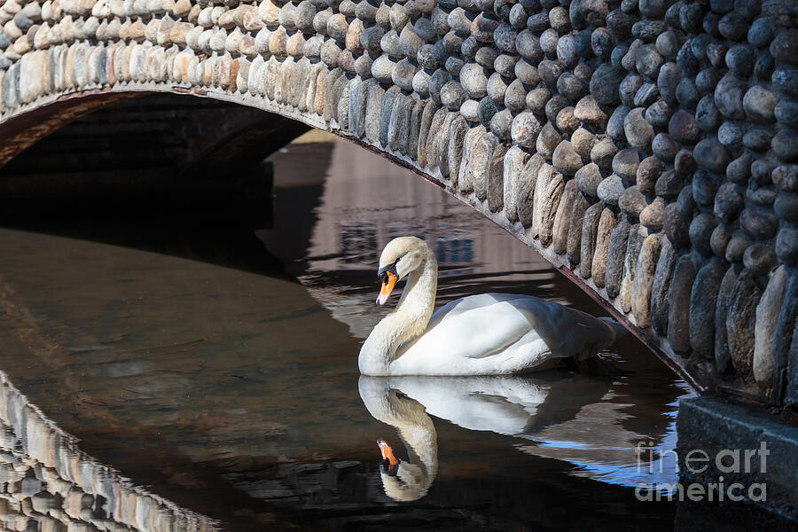 Underneath the Arch Photograph by Mary Lou Chmura