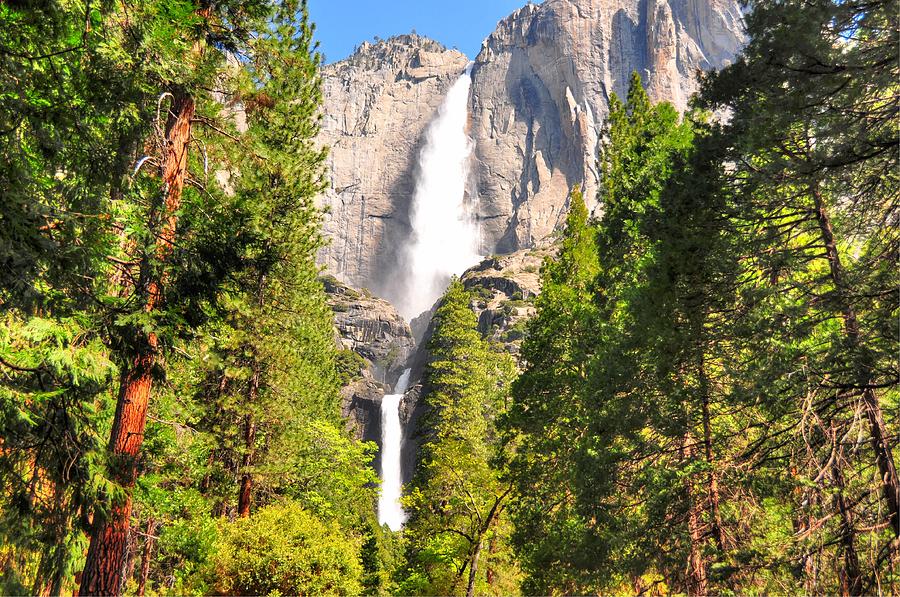 Upper and Lower Yosemite Falls - Yosemite National Park - California Photograph by Bruce Friedman