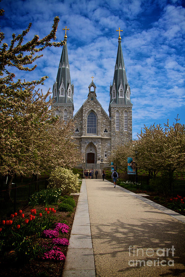 Villanova in the Spring Photograph by William Norton