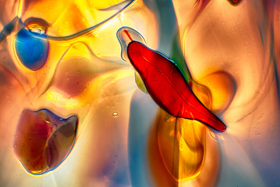 Chili Pepper On A Golden Morning Photograph by Omaste Witkowski