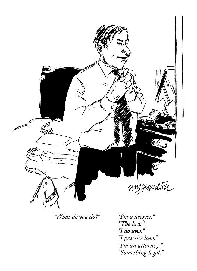 Lawyer Getting Ready Drawing - What Do You Do?      Im A Lawyer.
The Law.
I by William Hamilton