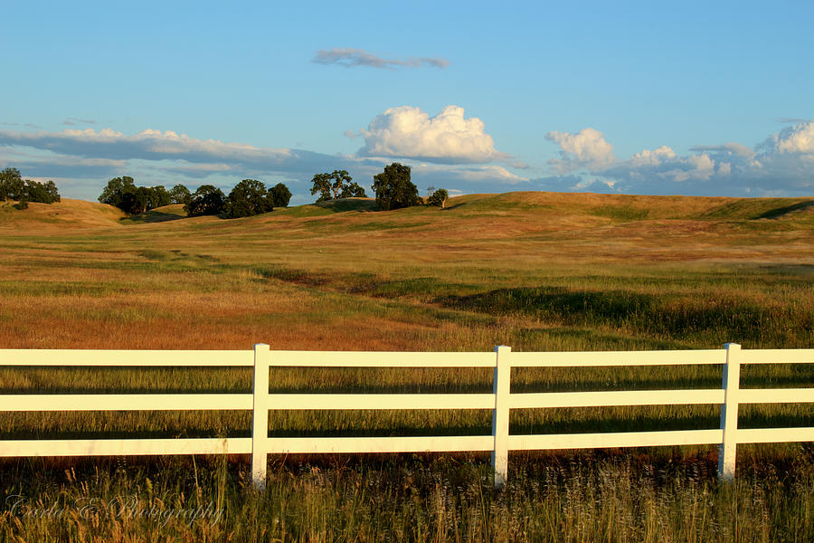 White Fence Photograph by Carla E