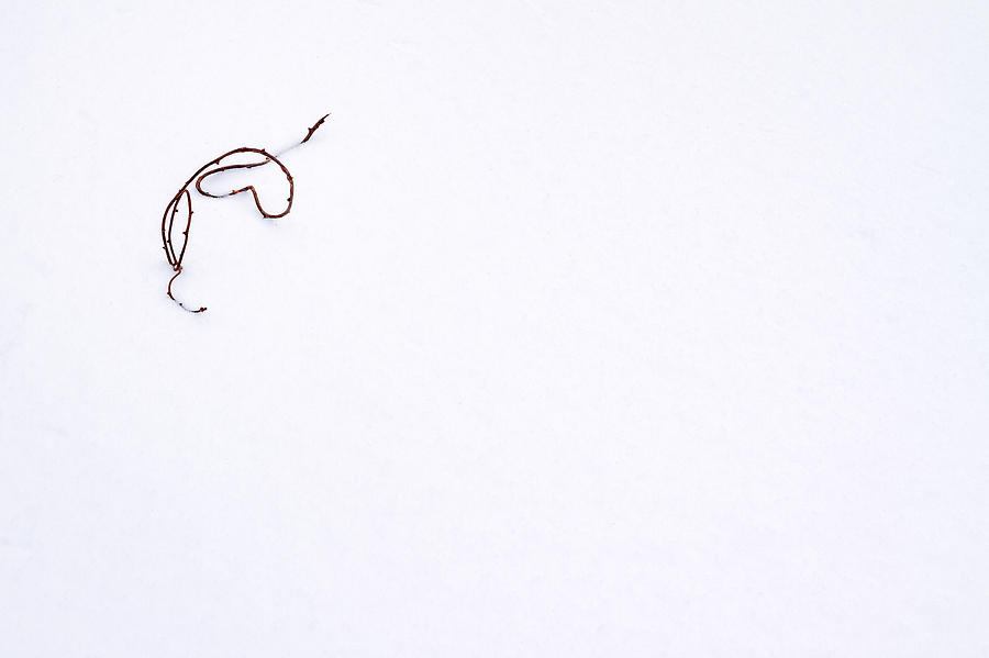 Winter Heart Photograph by Jeff Sinon