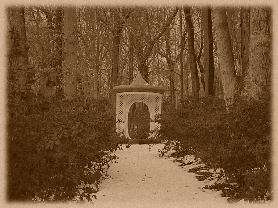 Winterthur - Gazebo Photograph by Richard Reeve