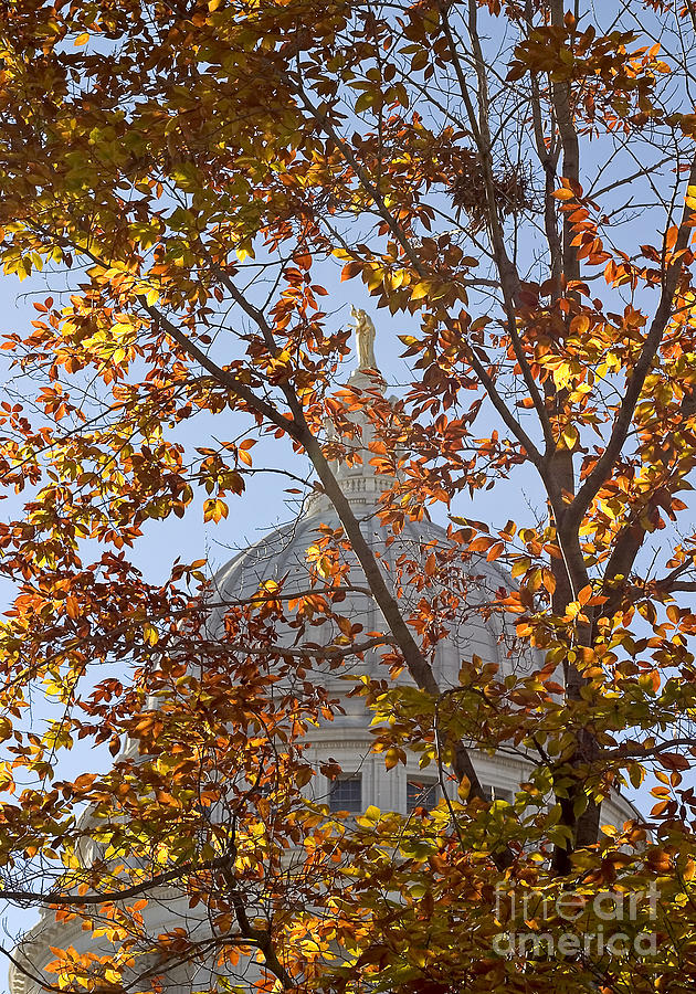 Wisconsin Capitol Photograph by Steven Ralser