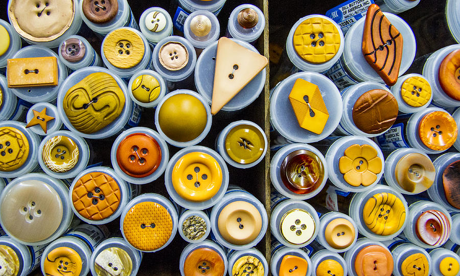 Yellow palate Photograph by Jean Noren