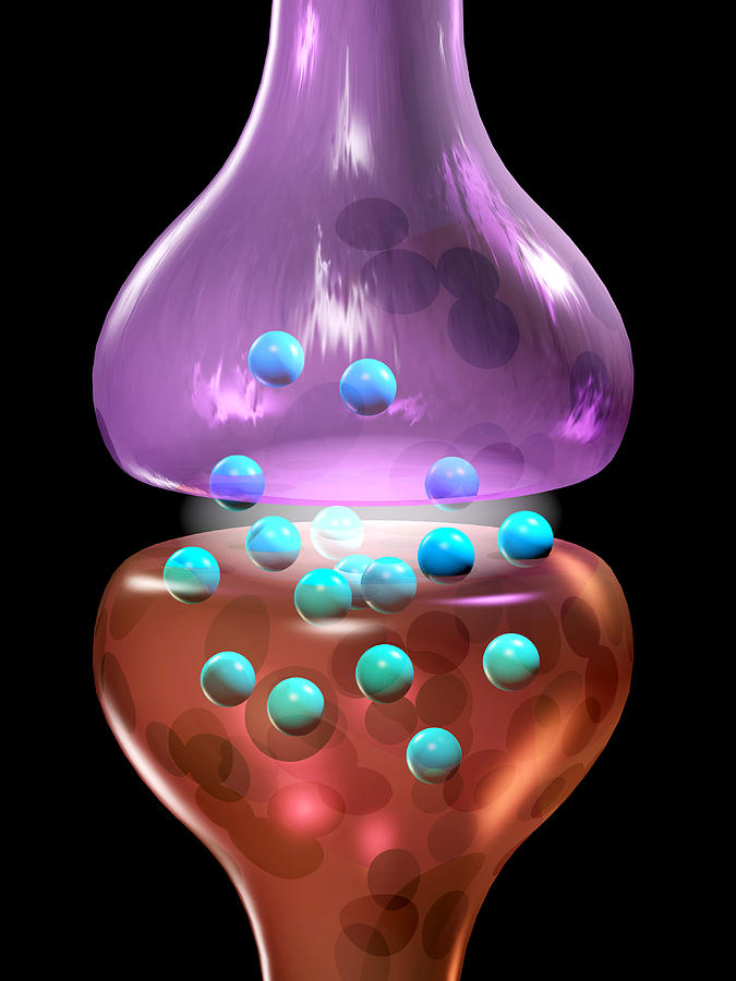 Synapse, Computer Artwork #1 by Laguna Design / Science Photo Library