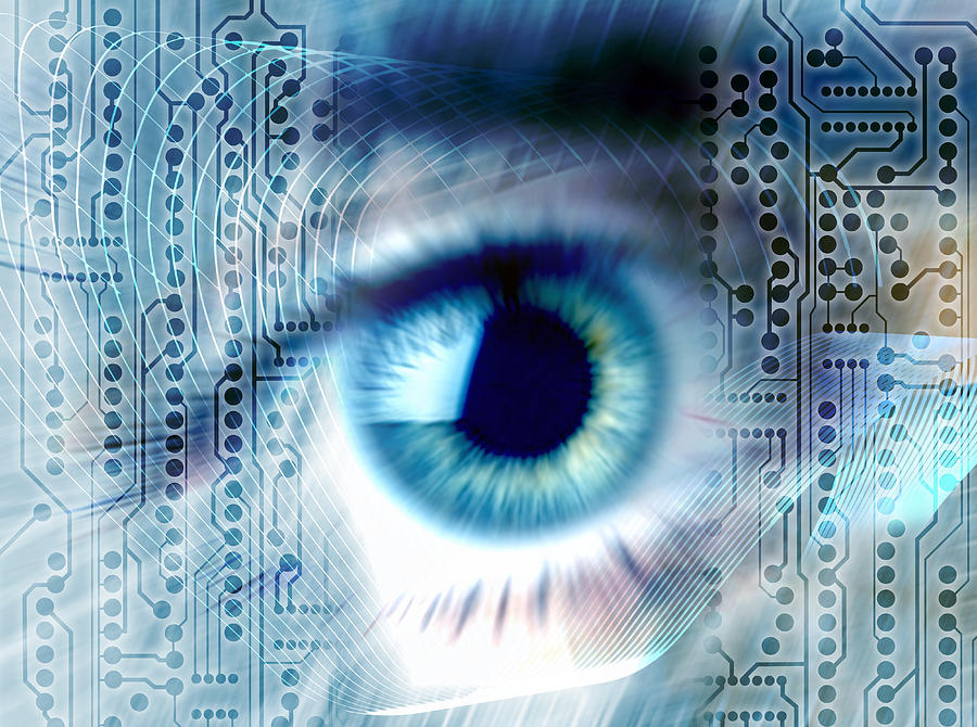Eye Scan/copy Biometric Eye Scan #10 by Alfred Pasieka / Science Photo Library