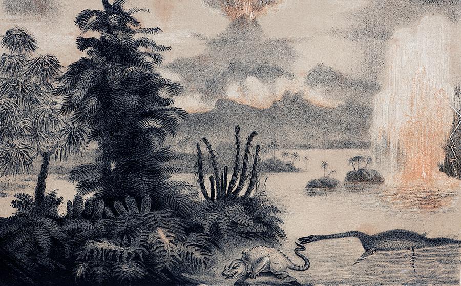 絵画 primitive 1855 Zimmerman's Primitive World by Paul D Stewart / Science Photo