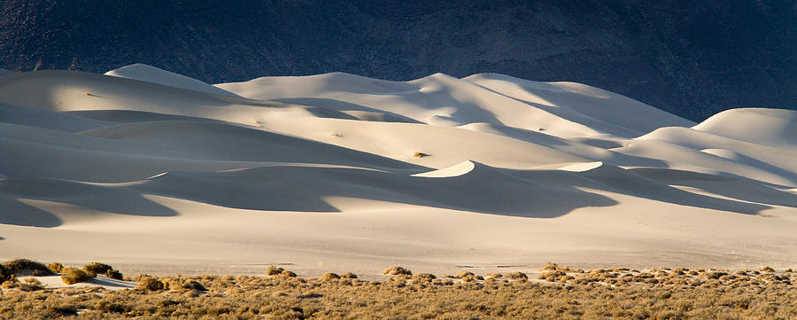 Sunlit Desert Sand Dunes Photograph - Eureka Dunes Panorama by Jean Noren