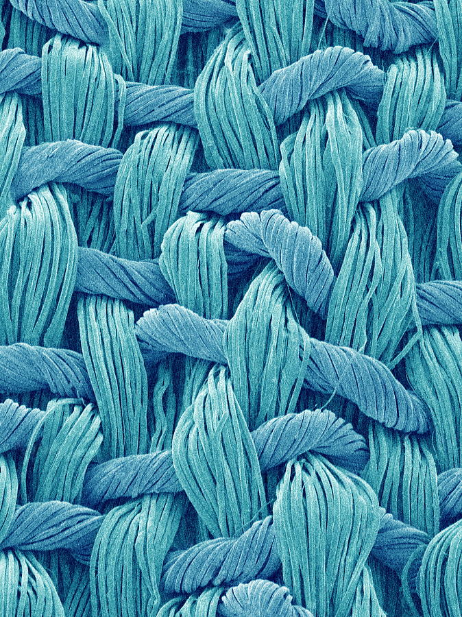 Synthetic Fibres, Sem #7 by Susumu Nishinaga / Science Photo Library