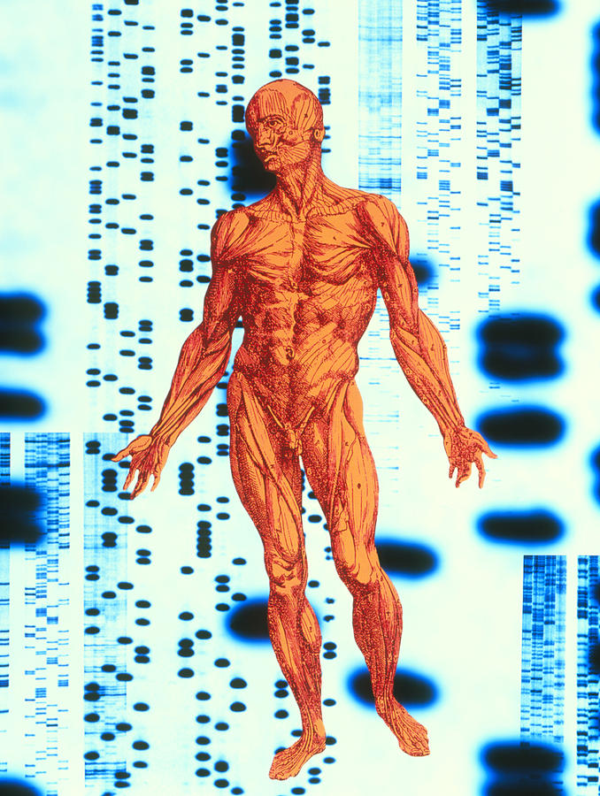 Genetic Code #8 by Alfred Pasieka / Science Photo Library