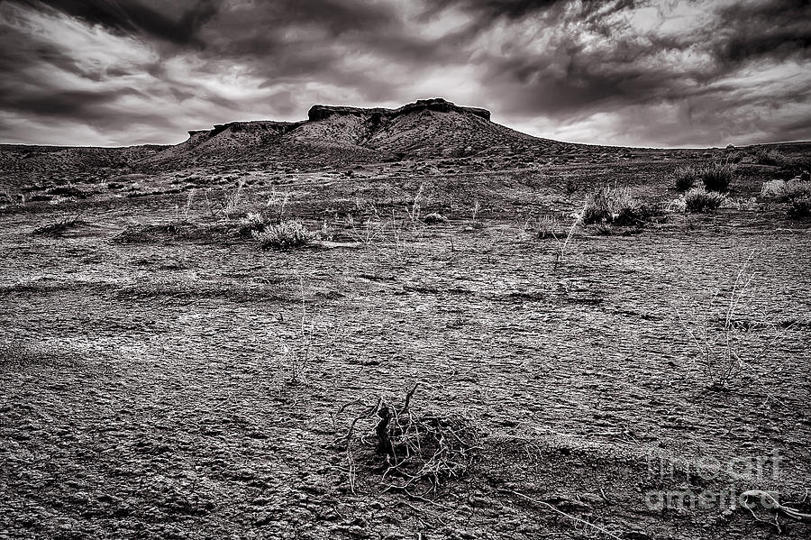 Baron Land and Gloomy Sky Photograph by Darcy Michaelchuk