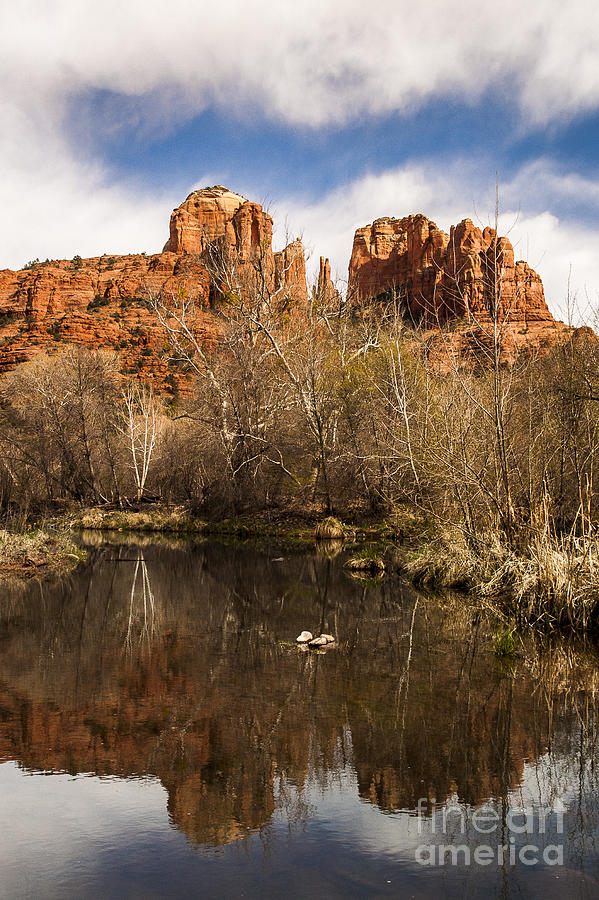 Cathedral Rock Reflections Portrait 1 Photograph by Darcy Michaelchuk