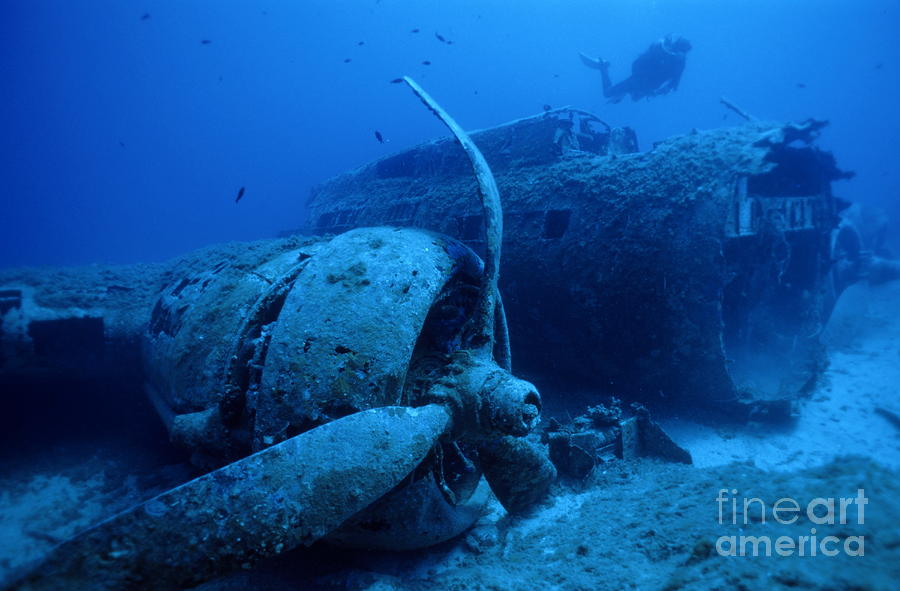 Sunken WWII Airplane Wreck Photograph - Diver exploring sunken B17 airplane wreck by Sami Sarkis Photography