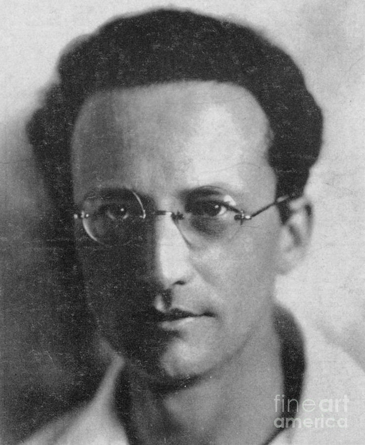 Erwin Schrodinger, Austrian Physicist by Science Source