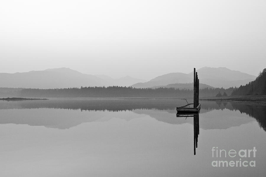 Foggy Ocean Morning Photograph by Darcy Michaelchuk