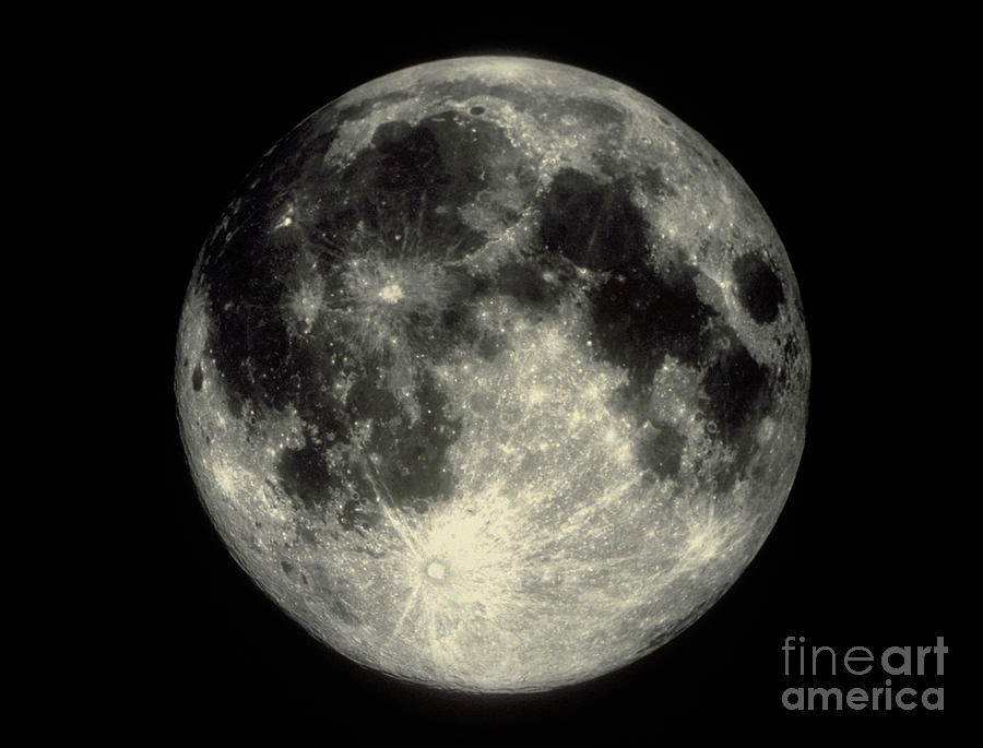 Full Moon by Science Source