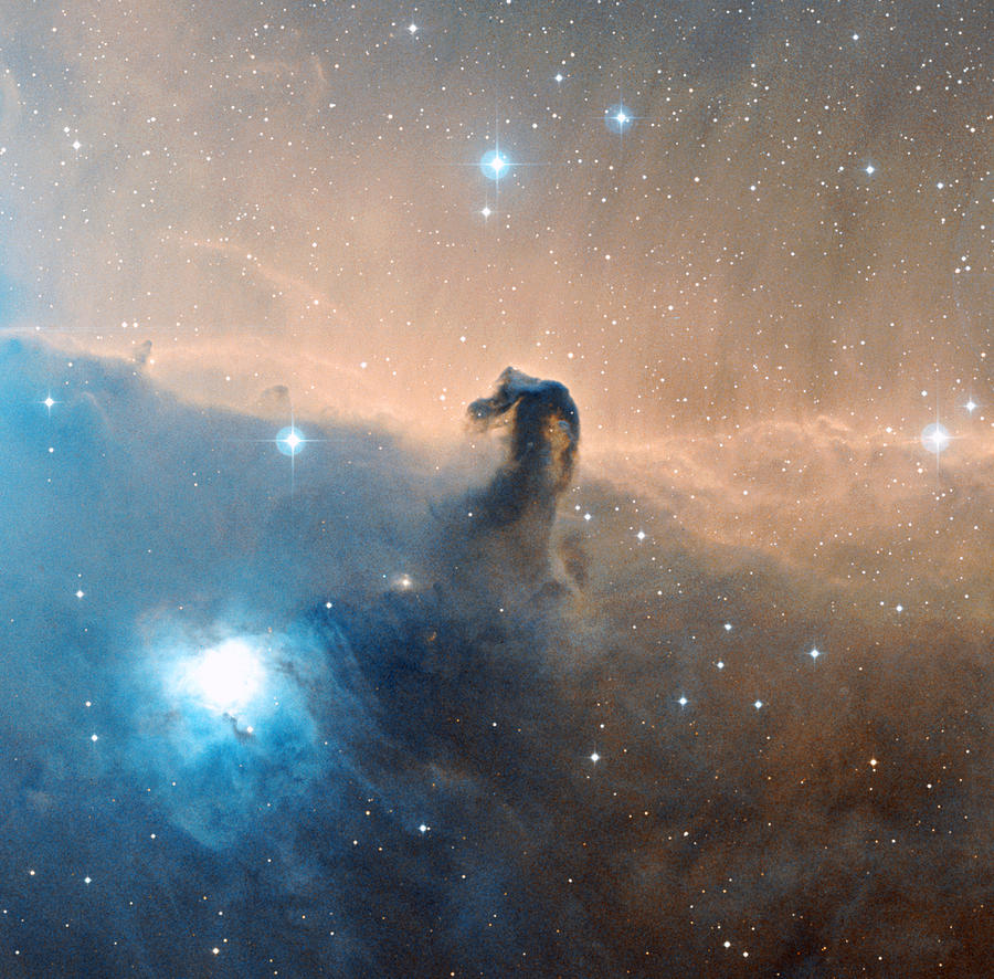 Horsehead Nebula by Davide De Martin / Science Photo Library