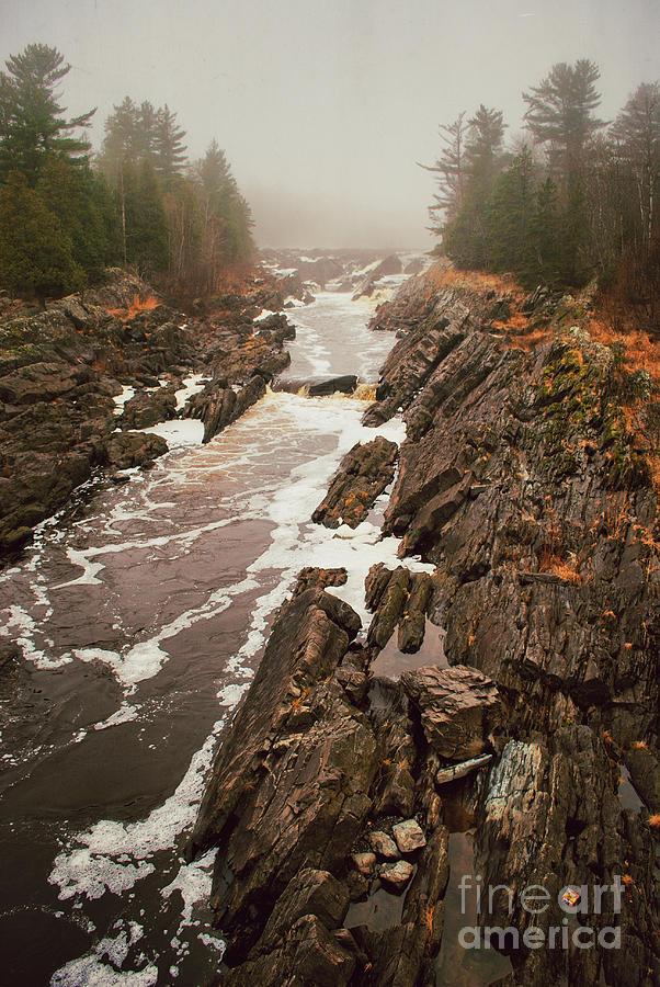 Jay Cooke Under Fog Photograph by Duluth To Door County Photography