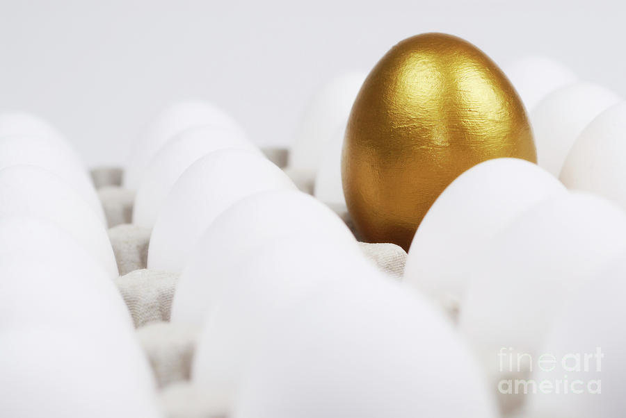 Golden Egg Among White Eggs Photograph - One golden egg in box of white eggs by Sami Sarkis Photography