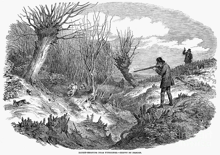 Old Rabbit Hunting Posters Rabbit Hunting, 1850 by Granger