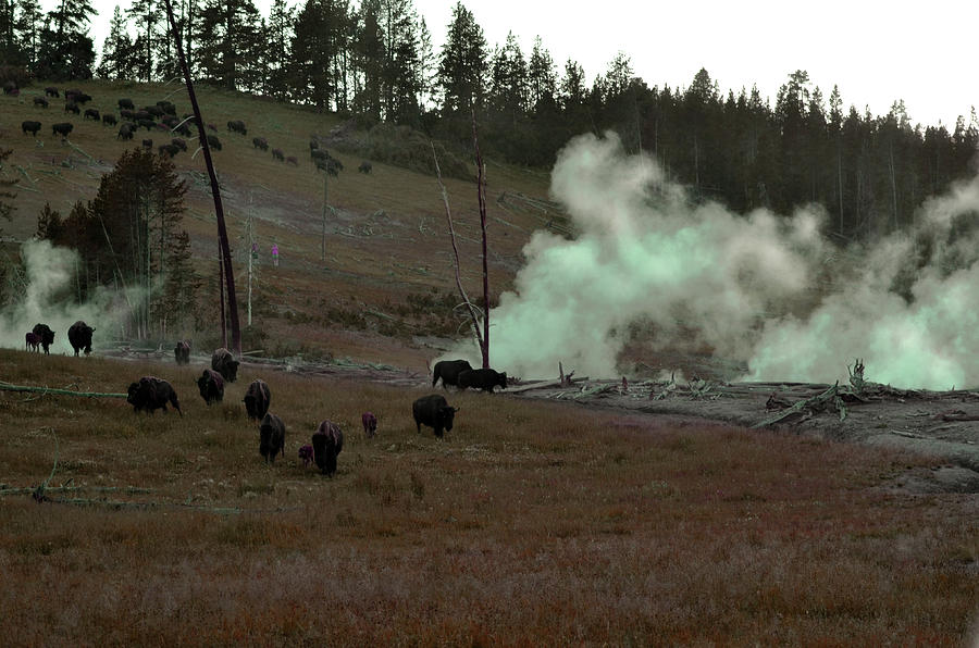 Rolling Stampede Photograph by La Dolce Vita