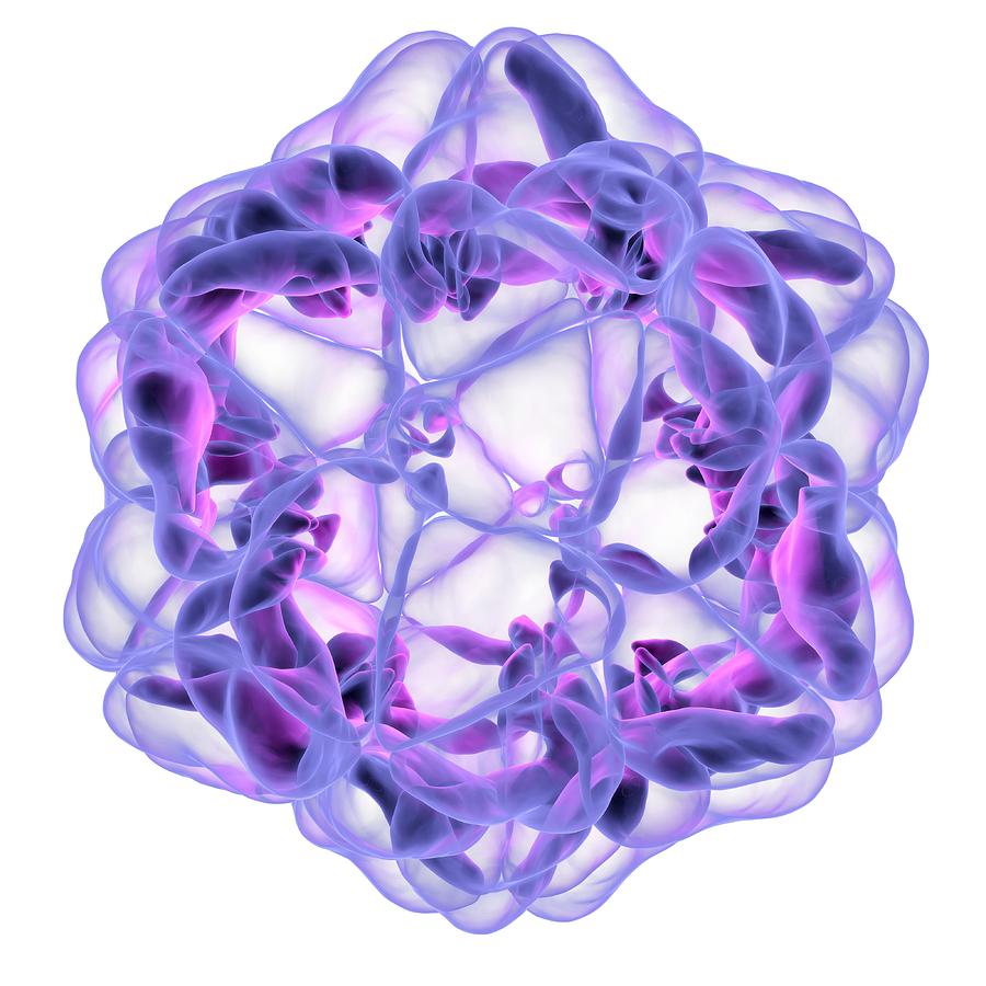 Satellite Tobacco Necrosis Virus by Laguna Design / Science Photo Library