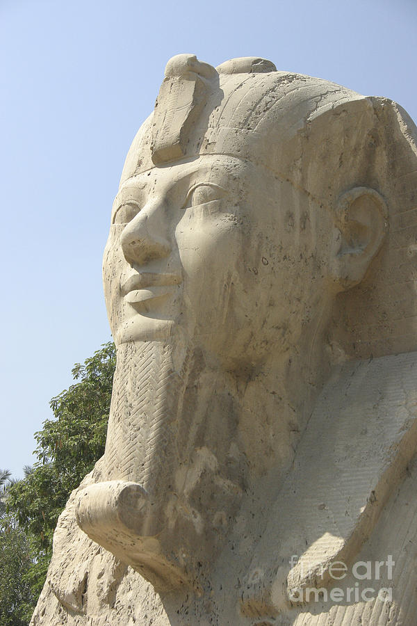 Small Sphinx Photograph by Darcy Michaelchuk