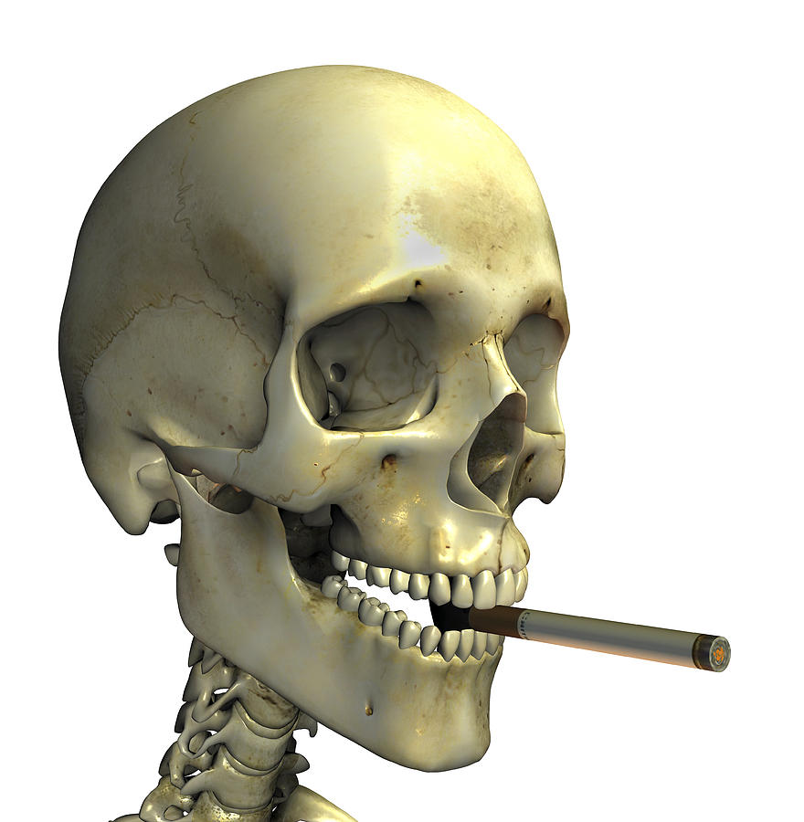 skeleton holding a cigarette Smoking Skeleton by Friedrich Saurer / Science Photo Library