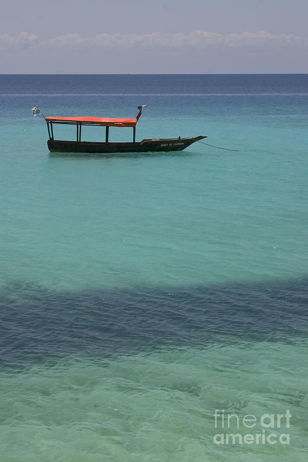 Spirit of Freedom Photograph by Darcy Michaelchuk
