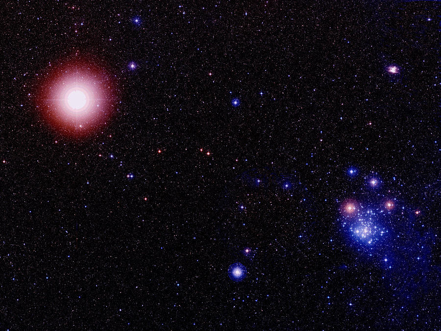 Star Cluster by Celestial Image Co. / Science Photo Library