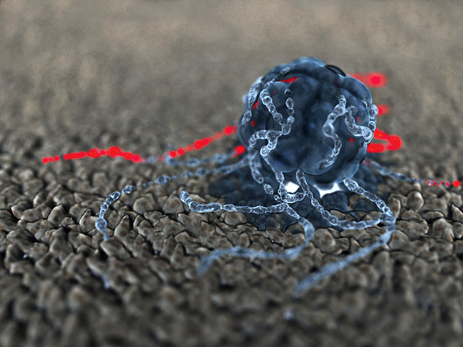 Stem Cell, Computer Artwork by Equinox Graphics / Science Photo Library