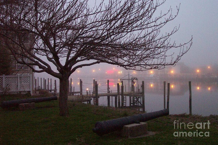 Tree and Fog at the Lewes-Rehoboth Canal Photograph by Roche Fine Art