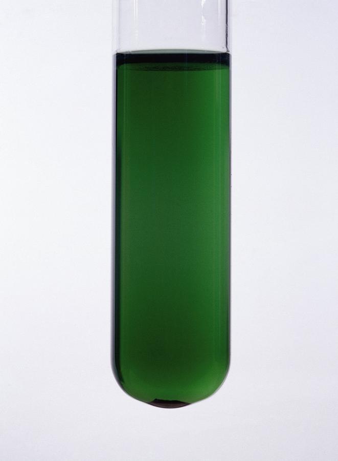 Vanadium (iii) Solution by Andrew Lambert Photography / Science Photo ...