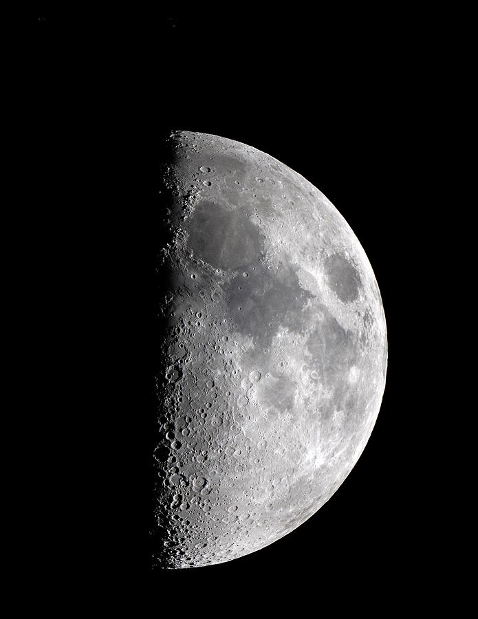 no.0074 モノトーンのhalf moon Waxing Half Moon by John Sanford / Science Photo Library