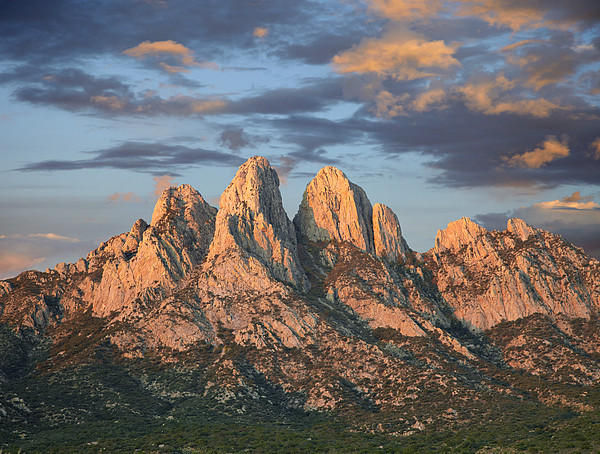Organ Mountains Near Las Cruces New #1 Jigsaw Puzzle by Tim