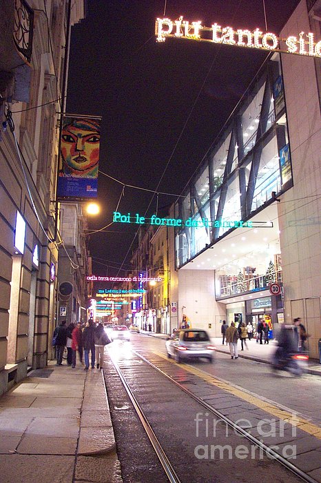 Christmas Photographs