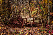 Antique Manure Spreader In The Forest. #1 Photograph by Jeff Sinon
