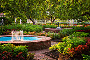 Morning Garden Photograph by Jeff Sinon