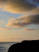 22 Photograph by Joe Schofield