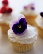 A Cupcake With A Violet On Top Photograph by Romulo Yanes