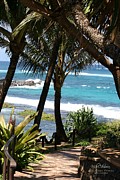 A Maui Afternoon Photograph by Mary Lou Chmura