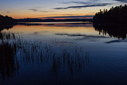 A Ripple on Hazelwood Lake Photograph by Linda Ryma