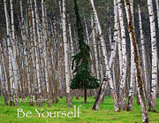 Above All Else Be Yourself Photograph by Mary Lee Dereske