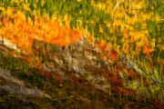 Abstract Autumn Reflections Photograph by Jeff Sinon