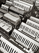 Accordions Photograph by Mary Lee Dereske