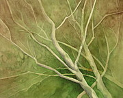 American Hornbeam Painting by Amanda Amend
