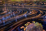 Autumn Chaos Photograph by Jeff Sinon