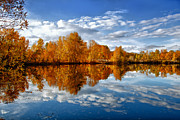Autumn Reflection Photograph by Mary Jo Allen